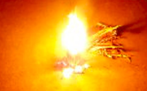 ���������������ִ�