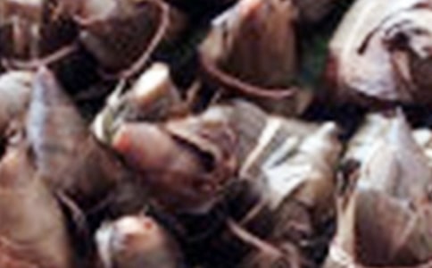 ��д���̵���������