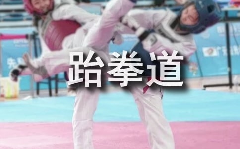 我的跆拳道经历作文