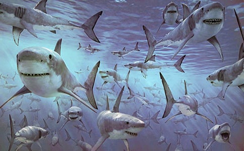 ��������600�ֻ���ƪ