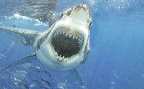 �������������400�֣�ͨ��43ƪ��