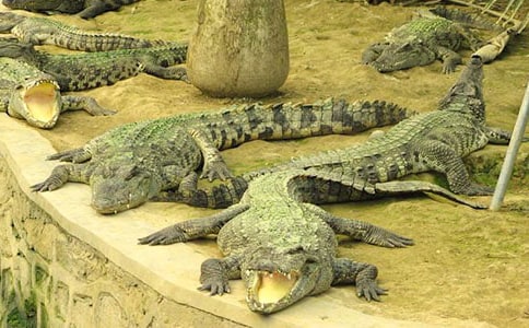 �����ѧ��Ʒ��ģ�ͨ��11ƪ��