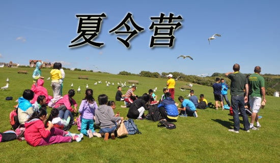 ��������Ӫ�������ͨ��340�䣩