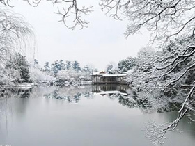 ����ͤ��ѩ